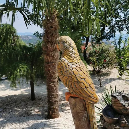 Jolly Villa